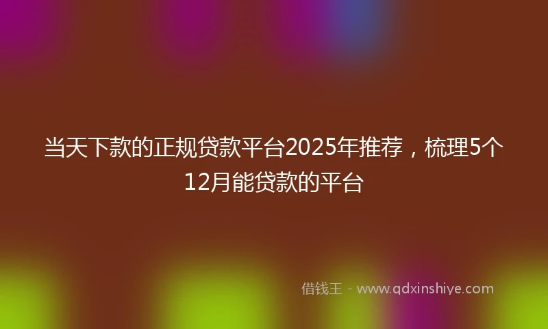 当天下款的正规贷款平台2025年推荐，梳理5个12月能贷款的平台