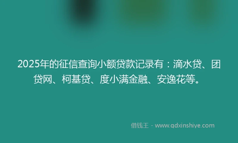 2025年的征信查询小额贷款记录有：滴水贷、团贷网、柯基贷、度小满金融、安逸花等。