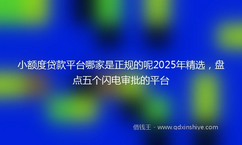 小额度贷款平台哪家是正规的呢2025年精选，盘点五个闪电审批的平台