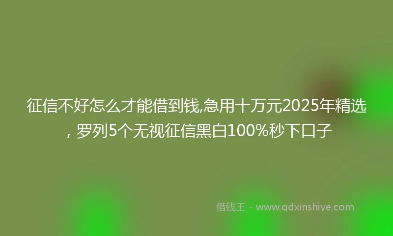 征信不好怎么才能借到钱,急用十万元2025年精选，罗列5个无视征信黑白100%秒下口子