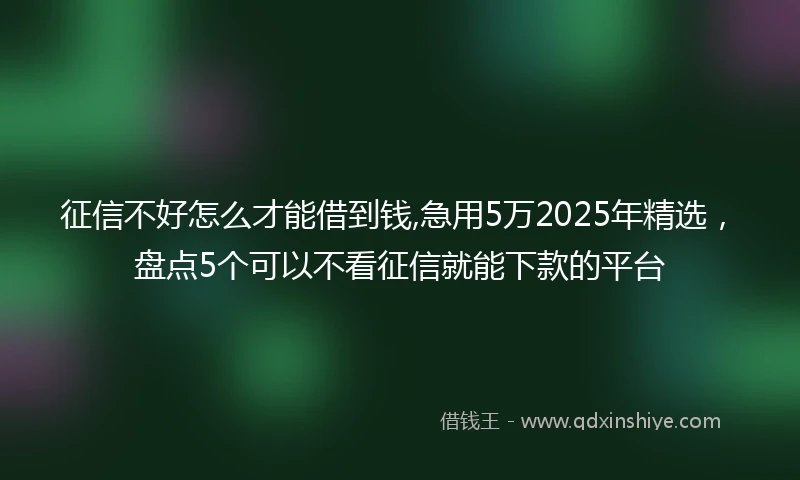 征信不好怎么才能借到钱,急用5万2025年精选，盘点5个可以不看征信就能下款的平台