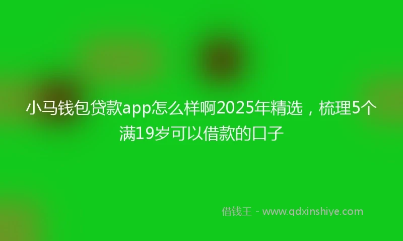 小马钱包贷款app怎么样啊2025年精选，梳理5个满19岁可以借款的口子