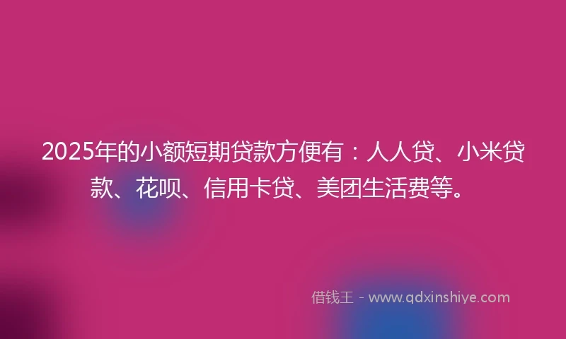 2025年的小额短期贷款方便有：人人贷、小米贷款、花呗、信用卡贷、美团生活费等。