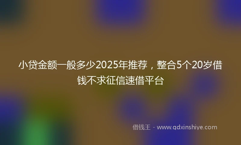 小贷金额一般多少2025年推荐，整合5个20岁借钱不求征信速借平台
