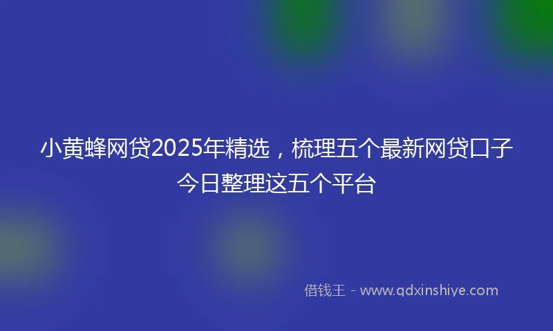 小黄蜂网贷2025年精选，梳理五个最新网贷口子今日整理这五个平台
