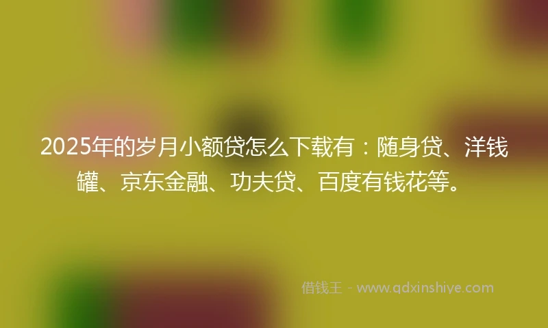 2025年的岁月小额贷怎么下载有：随身贷、洋钱罐、京东金融、功夫贷、百度有钱花等。