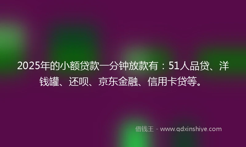 2025年的小额贷款一分钟放款有：51人品贷、洋钱罐、还呗、京东金融、信用卡贷等。