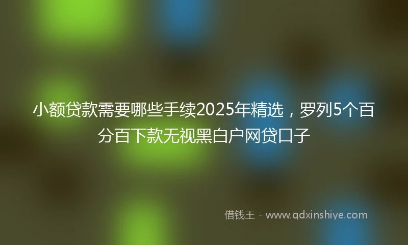 小额贷款需要哪些手续2025年精选，罗列5个百分百下款无视黑白户网贷口子