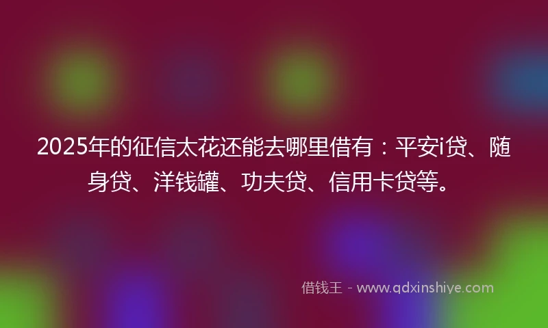 2025年的征信太花还能去哪里借有：平安i贷、随身贷、洋钱罐、功夫贷、信用卡贷等。