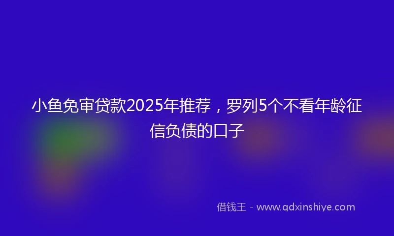 小鱼免审贷款2025年推荐，罗列5个不看年龄征信负债的口子