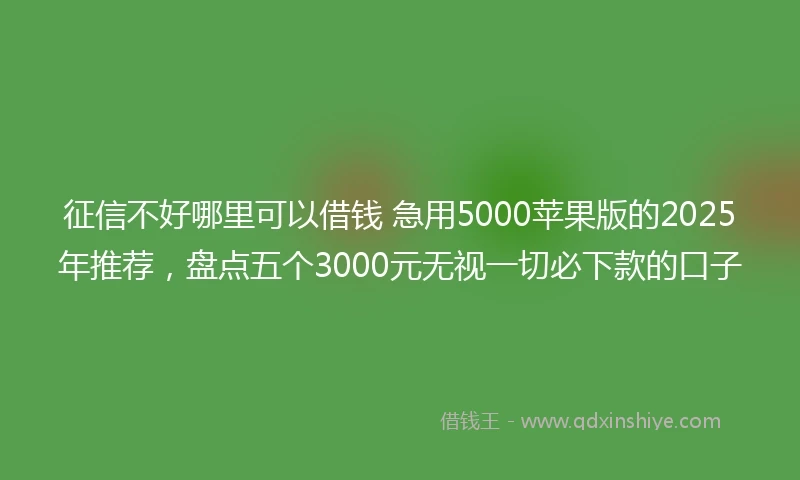 征信不好哪里可以借钱 急用5000苹果版的2025年推荐，盘点五个3000元无视一切必下款的口子