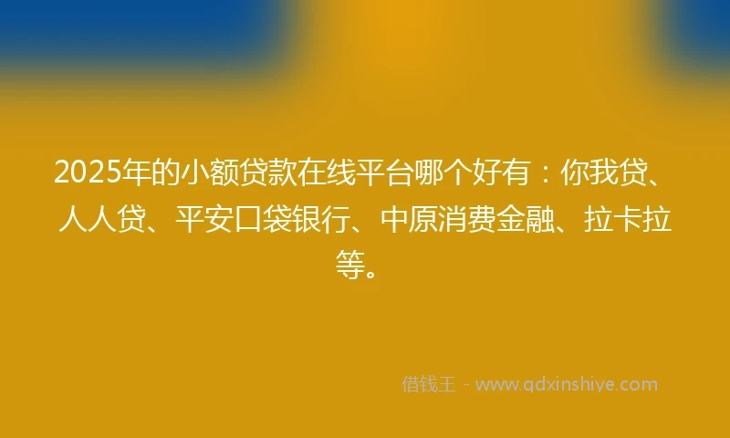 2025年的小额贷款在线平台哪个好有：你我贷、人人贷、平安口袋银行、中原消费金融、拉卡拉等。