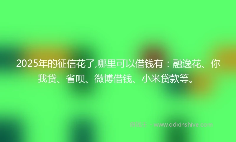 2025年的征信花了,哪里可以借钱有：融逸花、你我贷、省呗、微博借钱、小米贷款等。