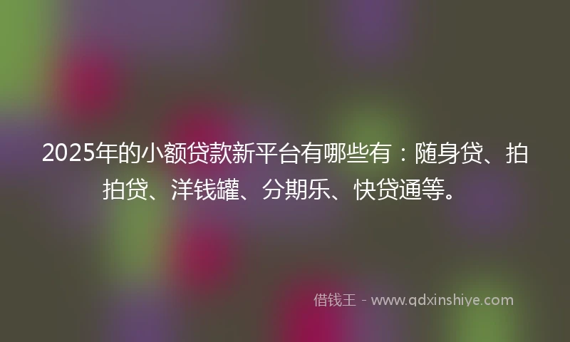 2025年的小额贷款新平台有哪些有：随身贷、拍拍贷、洋钱罐、分期乐、快贷通等。