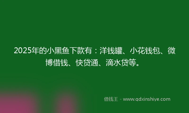 2025年的小黑鱼下款有：洋钱罐、小花钱包、微博借钱、快贷通、滴水贷等。