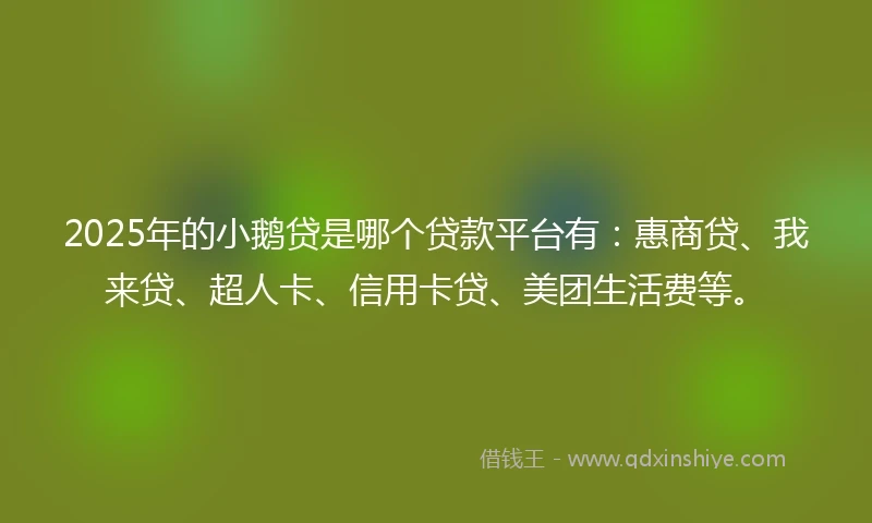 2025年的小鹅贷是哪个贷款平台有：惠商贷、我来贷、超人卡、信用卡贷、美团生活费等。