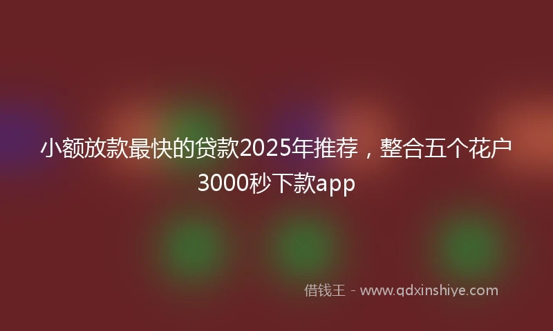 小额放款最快的贷款2025年推荐，整合五个花户3000秒下款app