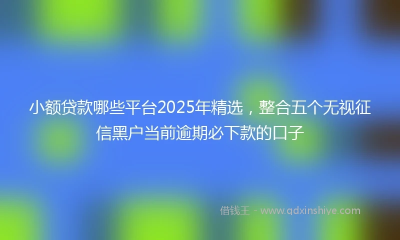 小额贷款哪些平台2025年精选，整合五个无视征信黑户当前逾期必下款的口子