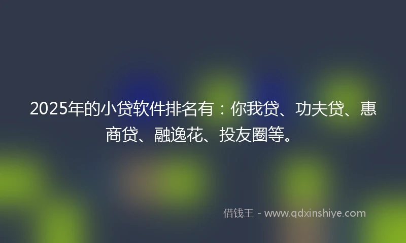 2025年的小贷软件排名有：你我贷、功夫贷、惠商贷、融逸花、投友圈等。