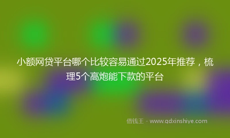 小额网贷平台哪个比较容易通过2025年推荐，梳理5个高炮能下款的平台