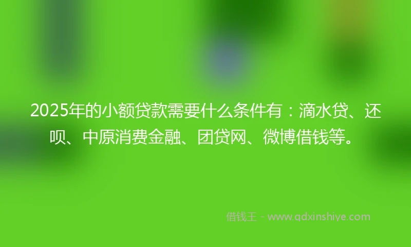 2025年的小额贷款需要什么条件有：滴水贷、还呗、中原消费金融、团贷网、微博借钱等。