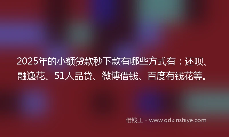 2025年的小额贷款秒下款有哪些方式有：还呗、融逸花、51人品贷、微博借钱、百度有钱花等。