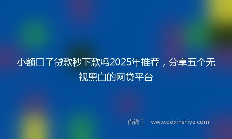 小额口子贷款秒下款吗2025年推荐，分享五个无视黑白的网贷平台