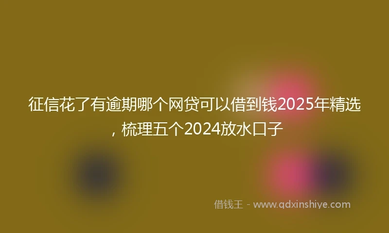 征信花了有逾期哪个网贷可以借到钱2025年精选，梳理五个2024放水口子