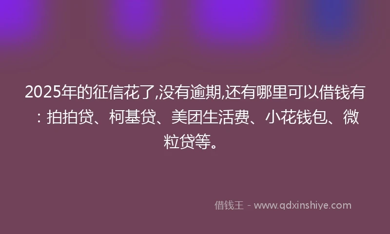 2025年的征信花了,没有逾期,还有哪里可以借钱有：拍拍贷、柯基贷、美团生活费、小花钱包、微粒贷等。