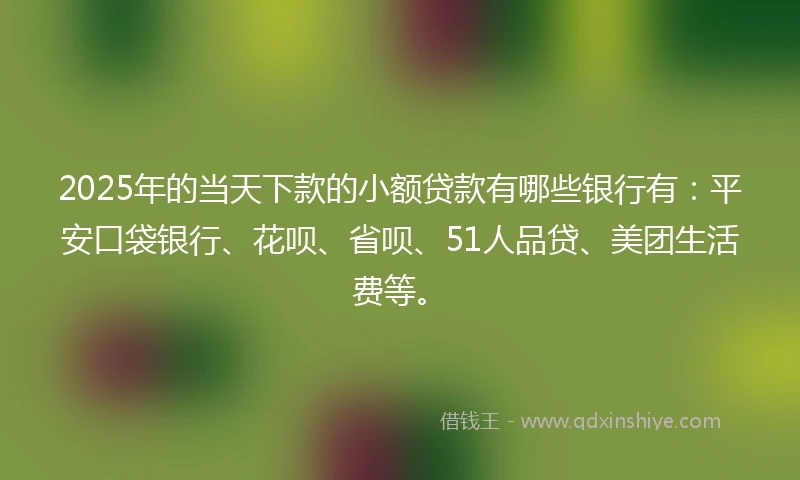 2025年的当天下款的小额贷款有哪些银行有：平安口袋银行、花呗、省呗、51人品贷、美团生活费等。