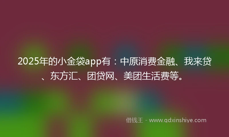 2025年的小金袋app有：中原消费金融、我来贷、东方汇、团贷网、美团生活费等。