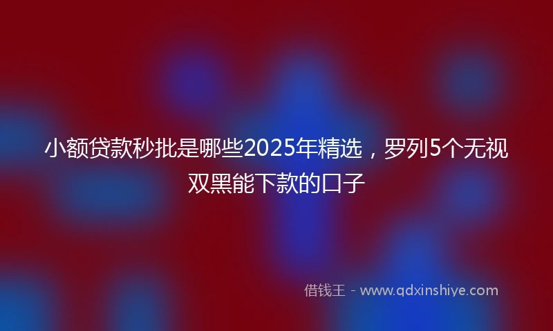 小额贷款秒批是哪些2025年精选，罗列5个无视双黑能下款的口子