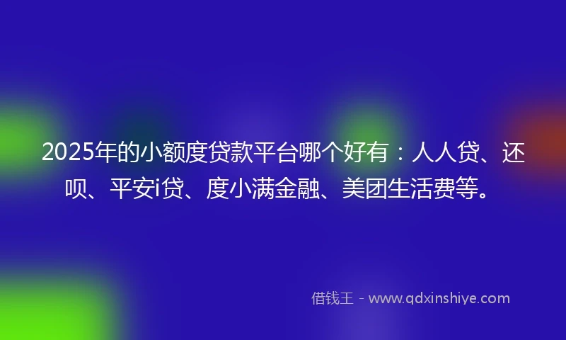 2025年的小额度贷款平台哪个好有：人人贷、还呗、平安i贷、度小满金融、美团生活费等。
