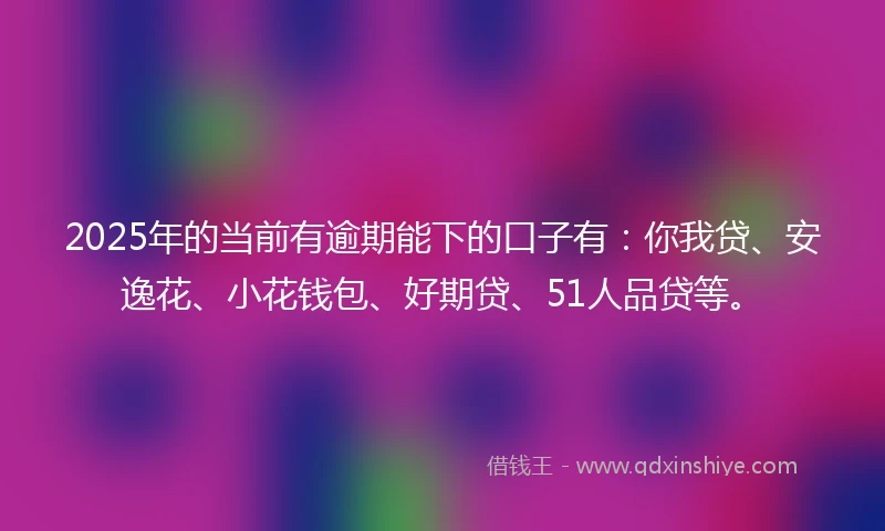 2025年的当前有逾期能下的口子有：你我贷、安逸花、小花钱包、好期贷、51人品贷等。