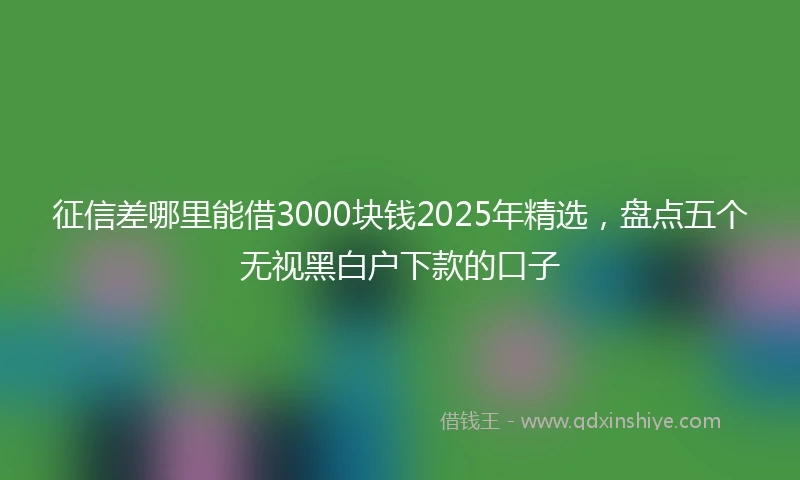 征信差哪里能借3000块钱2025年精选，盘点五个无视黑白户下款的口子