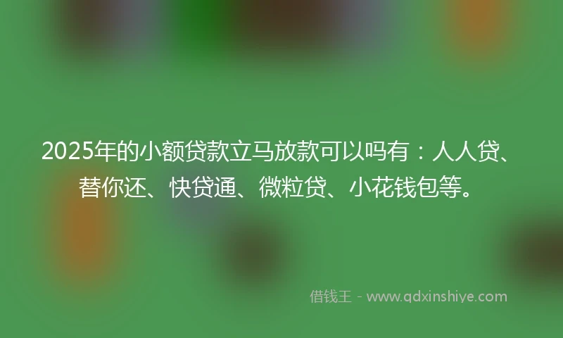2025年的小额贷款立马放款可以吗有：人人贷、替你还、快贷通、微粒贷、小花钱包等。