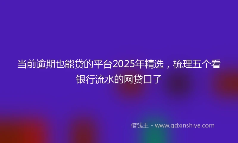 当前逾期也能贷的平台2025年精选,梳理五个看银行流水的网贷口子