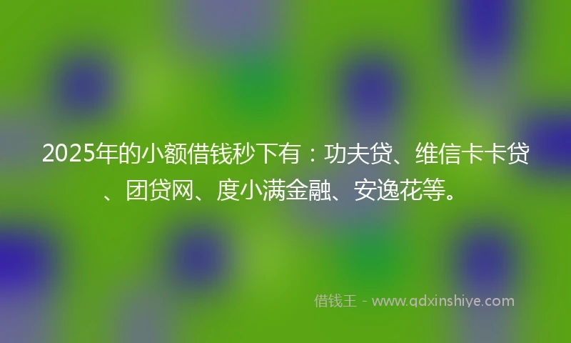 2025年的小额借钱秒下有：功夫贷、维信卡卡贷、团贷网、度小满金融、安逸花等。