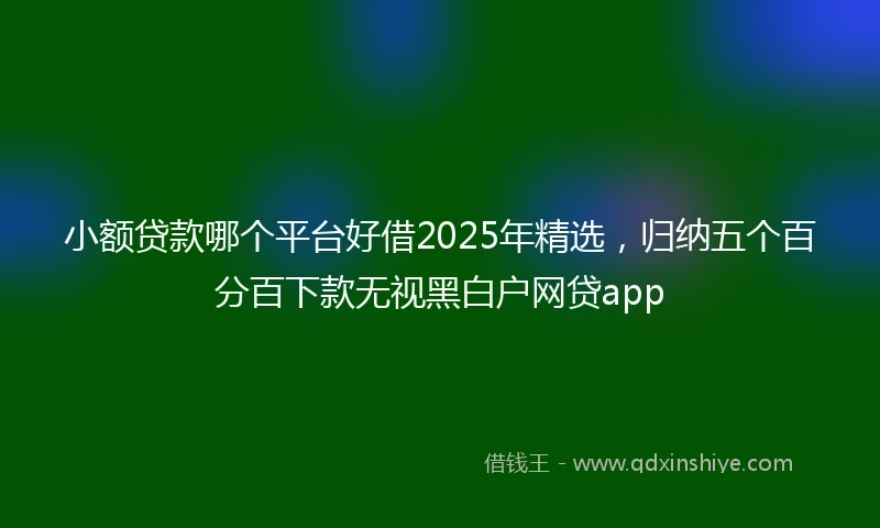 小额贷款哪个平台好借2025年精选，归纳五个百分百下款无视黑白户网贷app