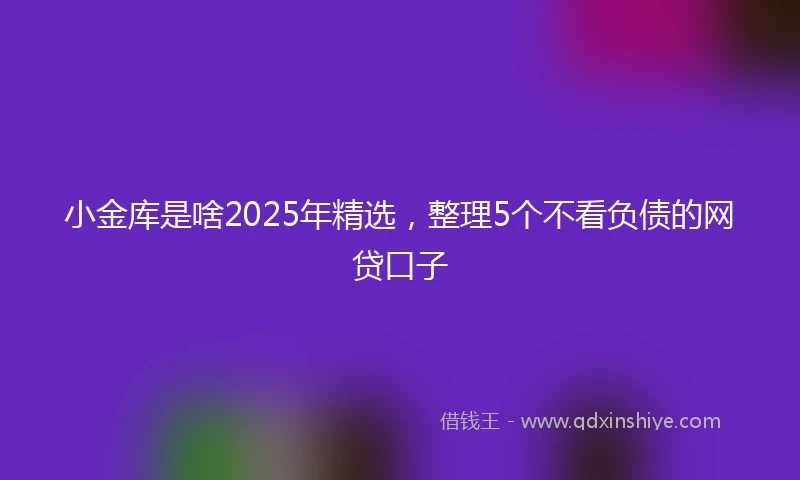 小金库是啥2025年精选，整理5个不看负债的网贷口子