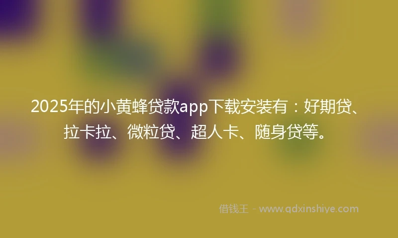 2025年的小黄蜂贷款app下载安装有：好期贷、拉卡拉、微粒贷、超人卡、随身贷等。