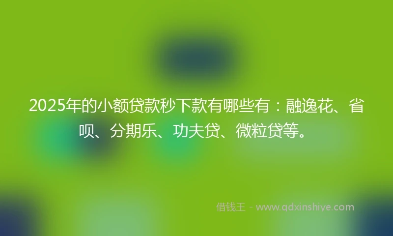 2025年的小额贷款秒下款有哪些有：融逸花、省呗、分期乐、功夫贷、微粒贷等。