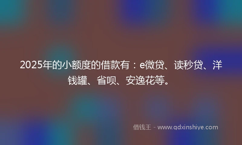 2025年的小额度的借款有：e微贷、读秒贷、洋钱罐、省呗、安逸花等。
