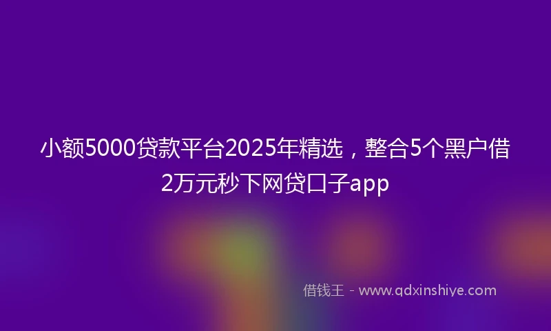 小额5000贷款平台2025年精选，整合5个黑户借2万元秒下网贷口子app