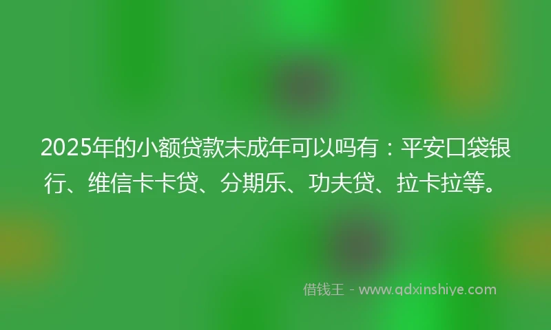 2025年的小额贷款未成年可以吗有：平安口袋银行、维信卡卡贷、分期乐、功夫贷、拉卡拉等。