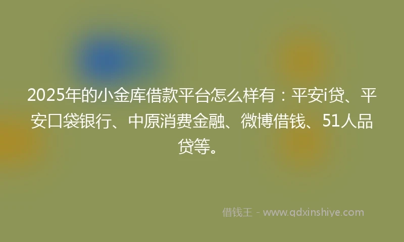 2025年的小金库借款平台怎么样有：平安i贷、平安口袋银行、中原消费金融、微博借钱、51人品贷等。