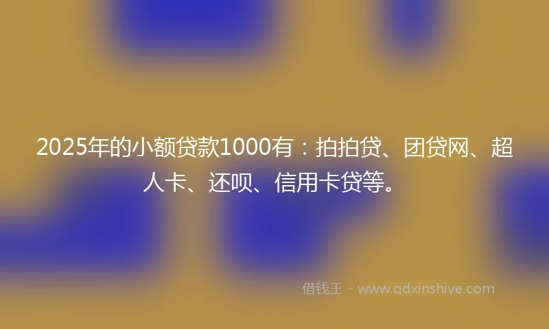 2025年的小额贷款1000有：拍拍贷、团贷网、超人卡、还呗、信用卡贷等。