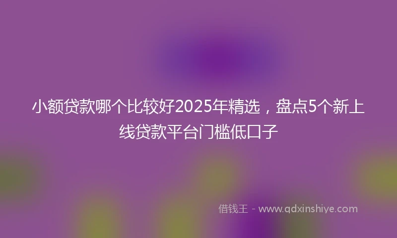 小额贷款哪个比较好2025年精选，盘点5个新上线贷款平台门槛低口子