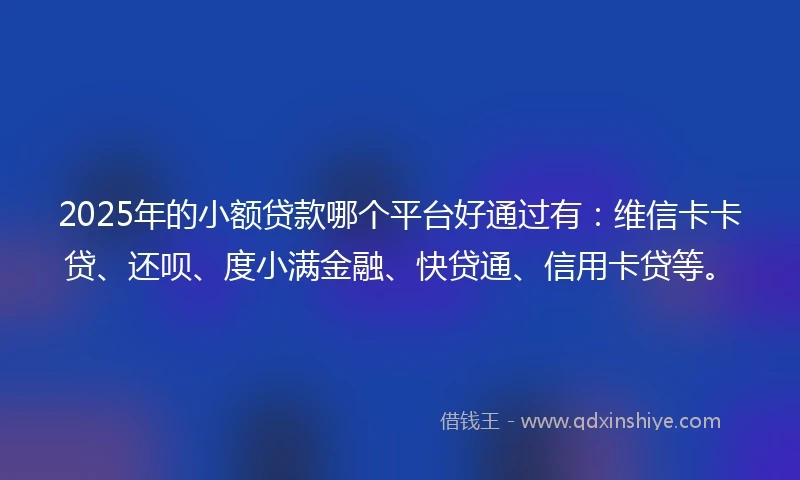 2025年的小额贷款哪个平台好通过有：维信卡卡贷、还呗、度小满金融、快贷通、信用卡贷等。