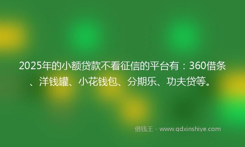 2025年的小额贷款不看征信的平台有：360借条、洋钱罐、小花钱包、分期乐、功夫贷等。